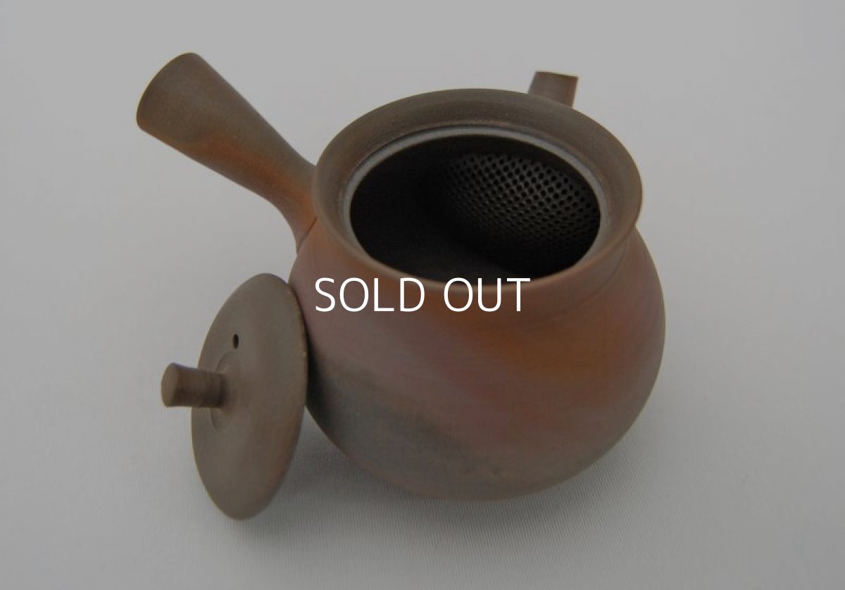 画像2: 0.8合窯変急須 (2)