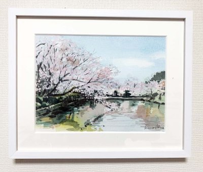 画像1: 鎌倉牡丹園の桜