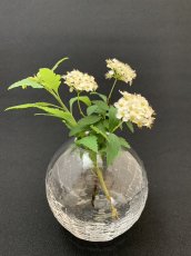 画像4: [log mold]フラワーベース(丸) (4)