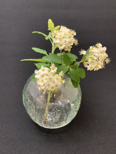 画像1: [log mold]フラワーベース(丸)昼