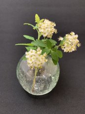 画像4: [log mold]フラワーベース(丸)昼 (4)