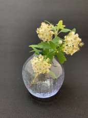 画像5: [log mold]フラワーベース(首)夜 (5)