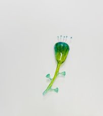 画像1: スナッピー　緑　ブローチ (1)