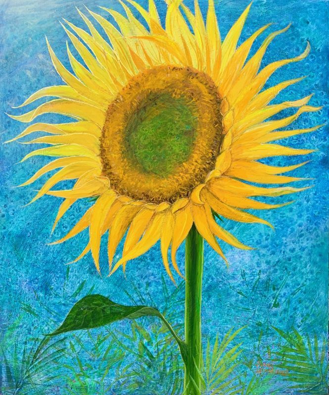 Sunflower
