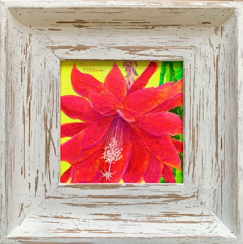 サボテンの花